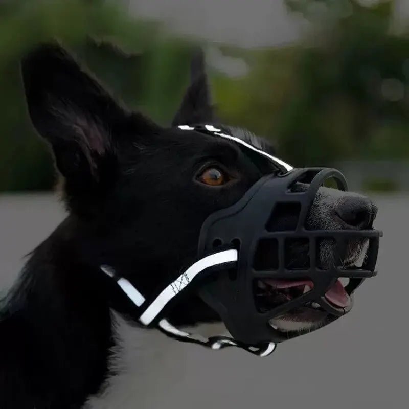 Anti - BarkDog™ - Pitoulove