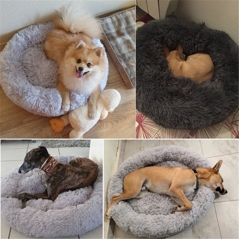 DoggyPouf™ - Coussin doux pour chien - Pitoulove