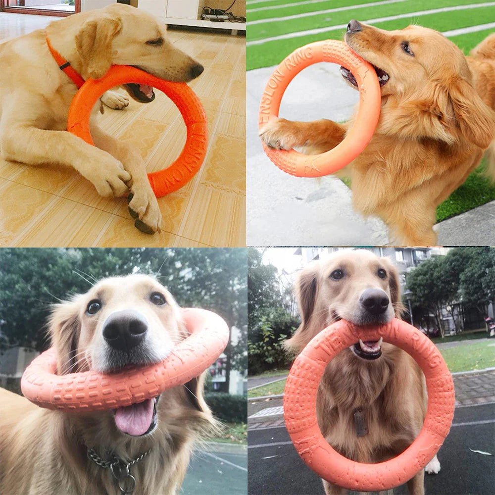 DogTrainingRing™ - Pitoulove