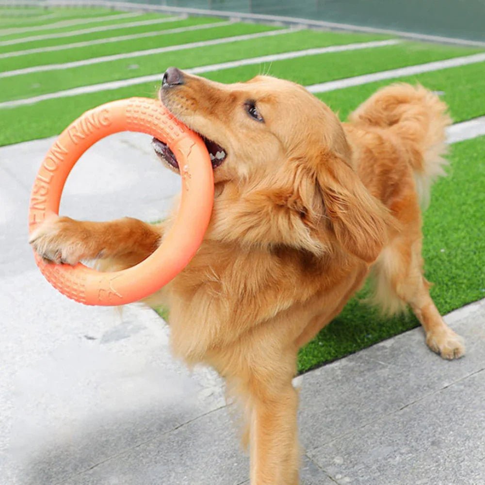 DogTrainingRing™ - Pitoulove