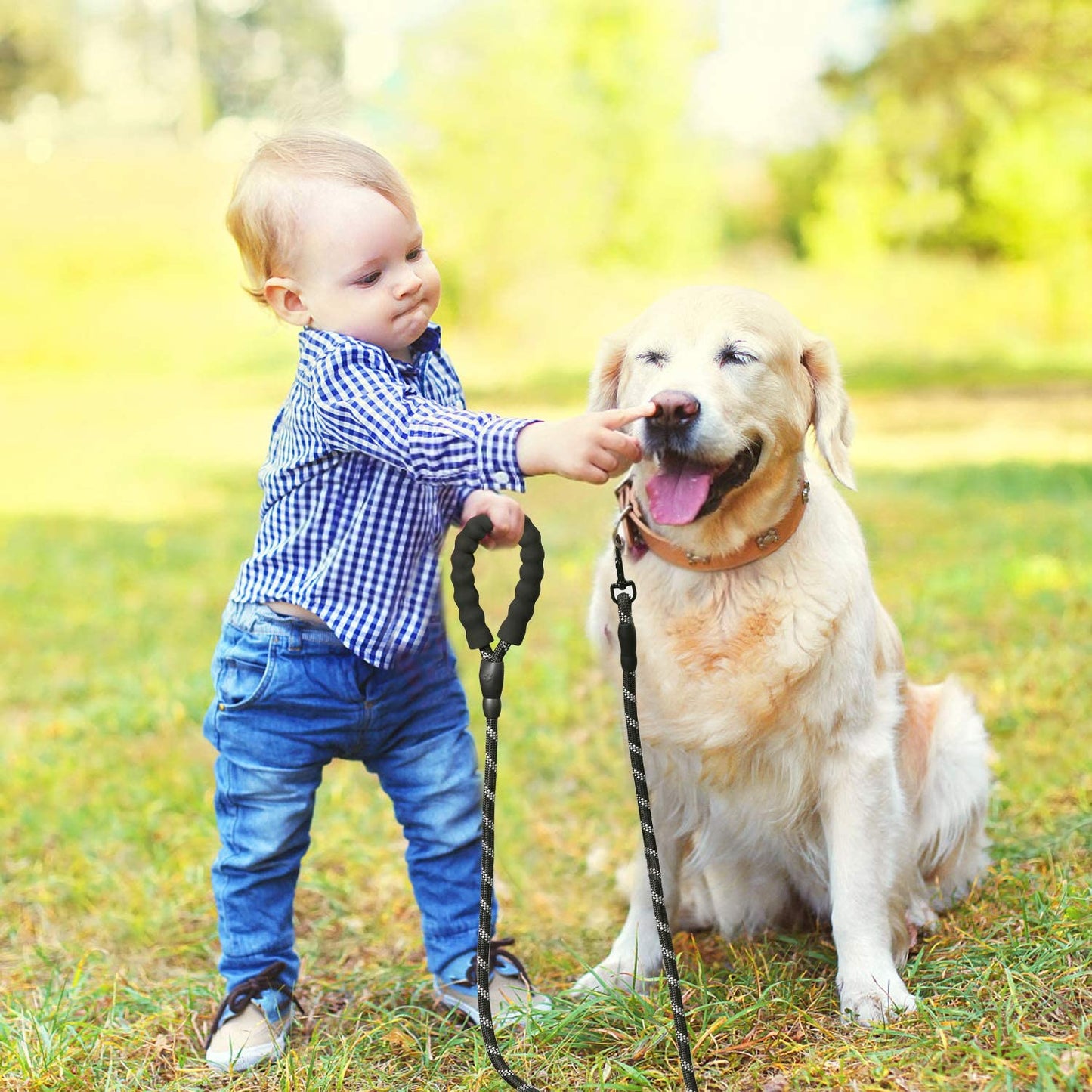 LaisseEduc™ - Corde en Nylon pour chien | Chien - Pitoulove