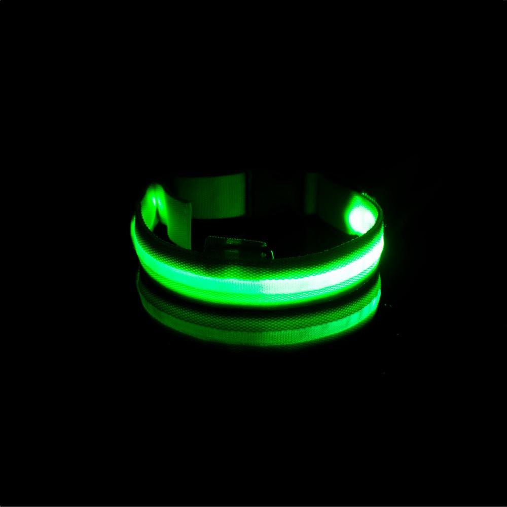 LedCollar™ - Collier à LED rechargeable pour chien - Pitoulove