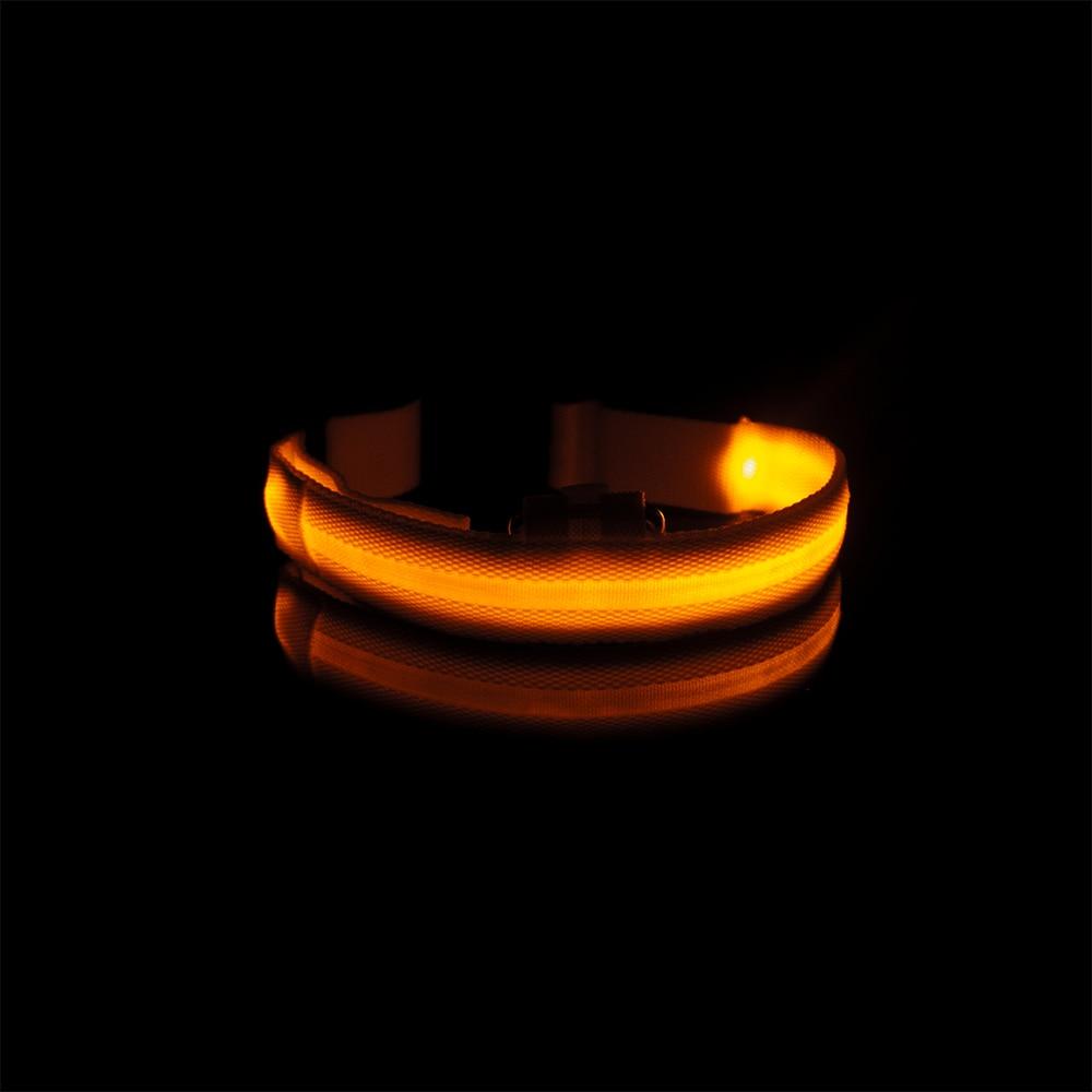 LedCollar™ - Collier à LED rechargeable pour chien - Pitoulove