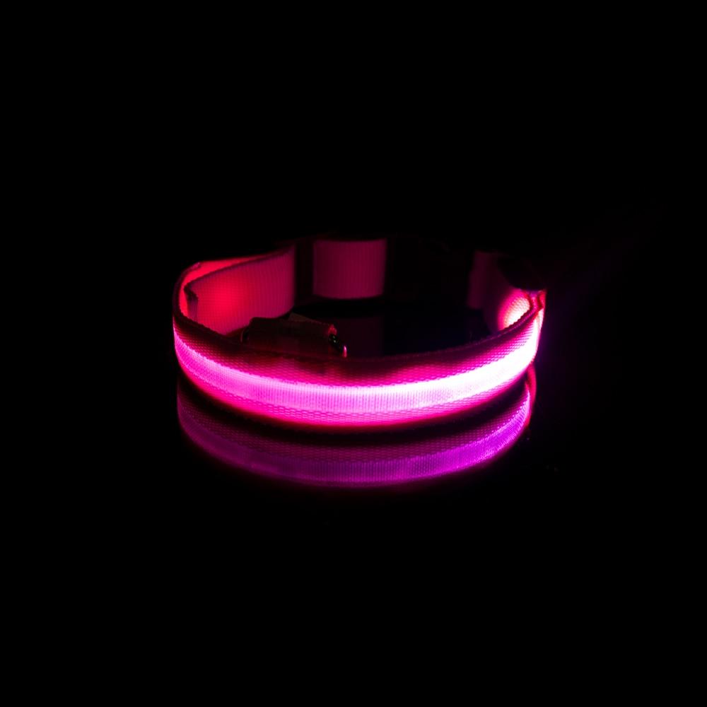 LedCollar™ - Collier à LED rechargeable pour chien - Pitoulove