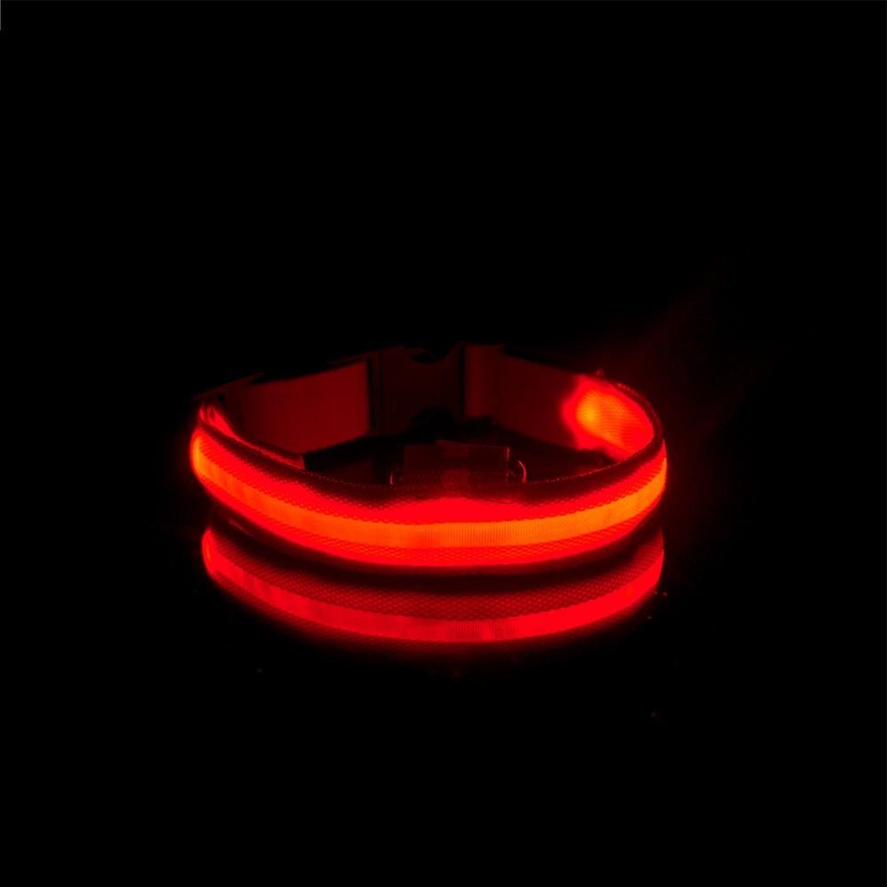 LedCollar™ - Collier à LED rechargeable pour chien - Pitoulove