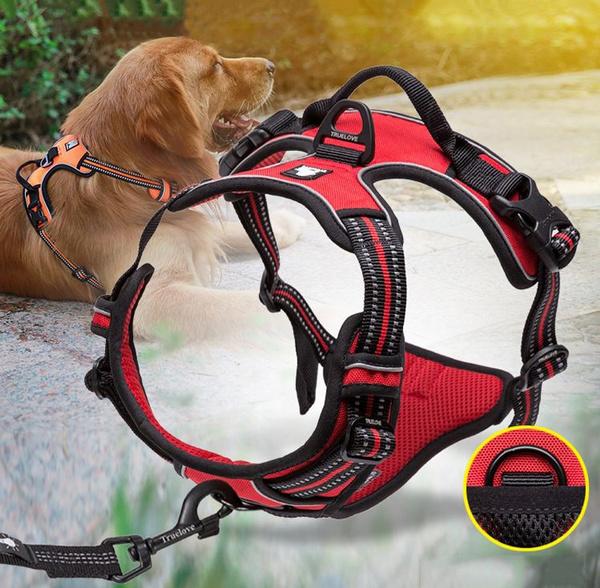 SafetyHarness™ - Harnais pour animal de compagnie - Pitoulove